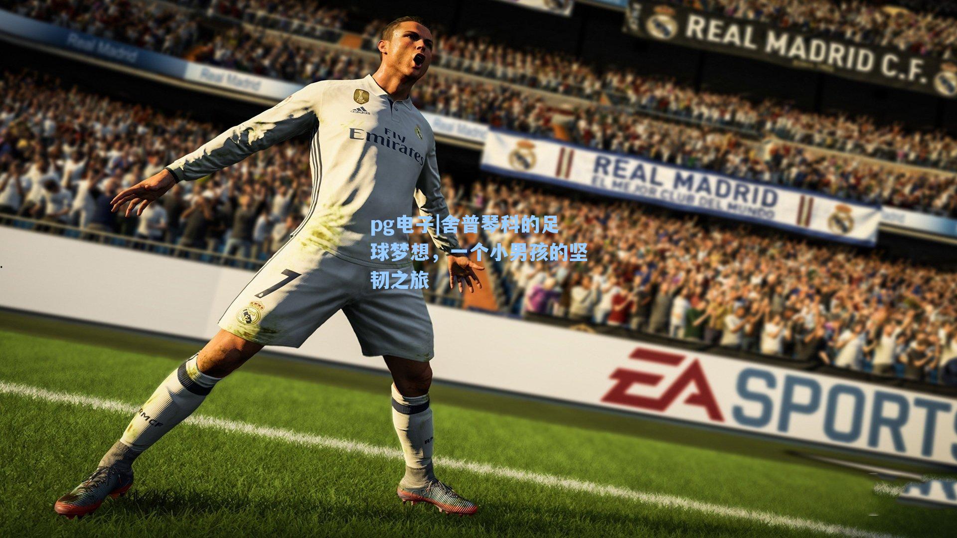 舍普琴科的足球梦想，一个小男孩的坚韧之旅